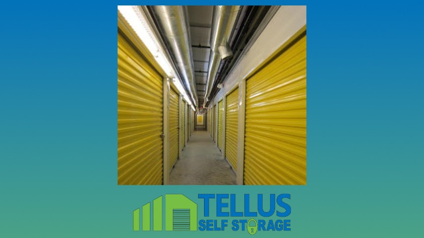 Storage Unit Sizes: Choosing the Right Fit