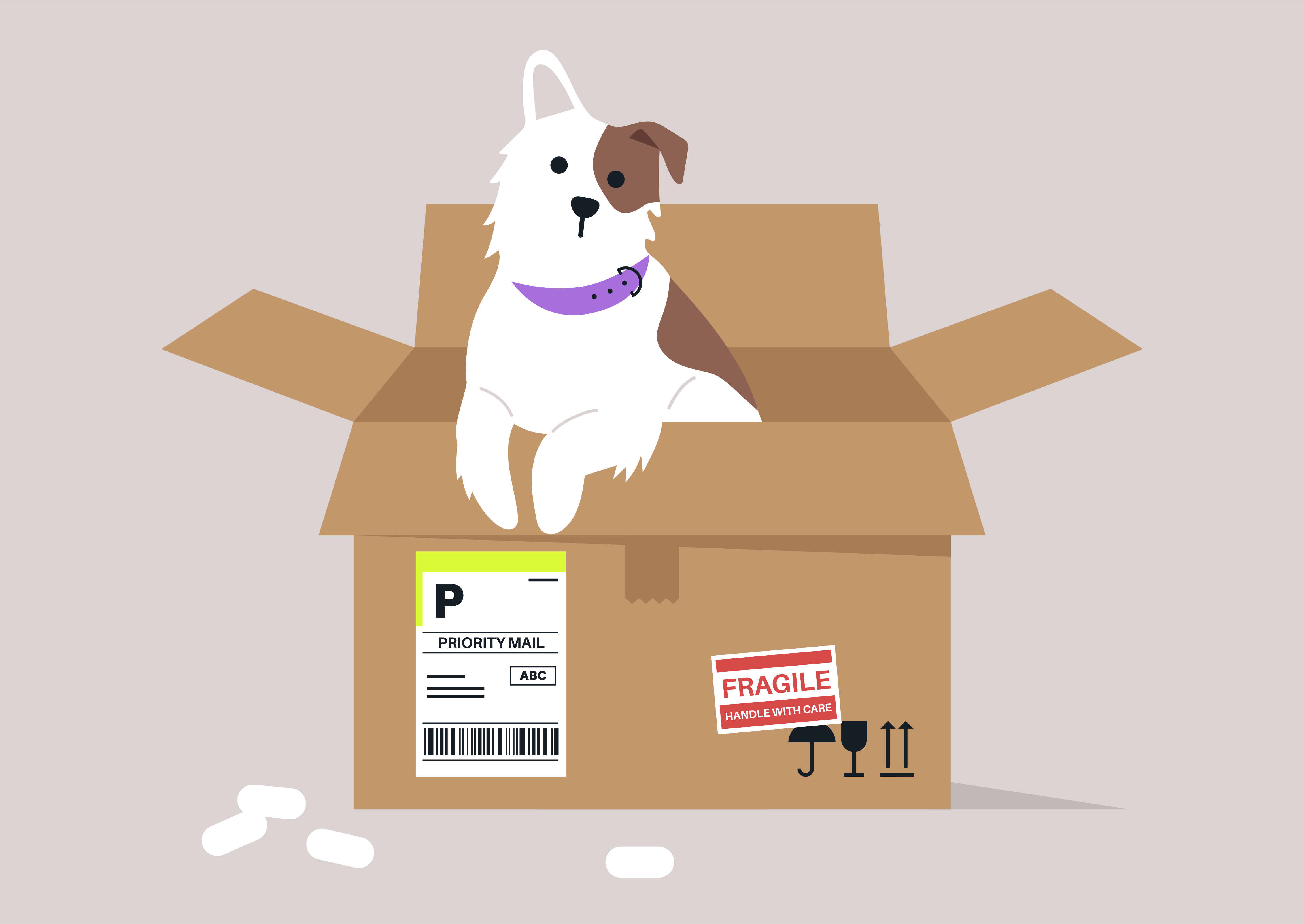 Moving with Pets: Tips for a Stress-Free Transition