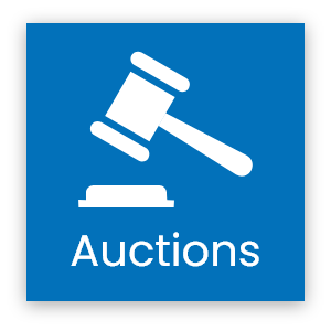 Auctions Button
